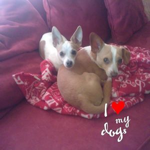 Meet your Posher, Sherry